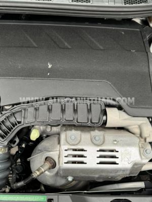 Xe Peugeot 2008 GT Line 1.2 AT 2021